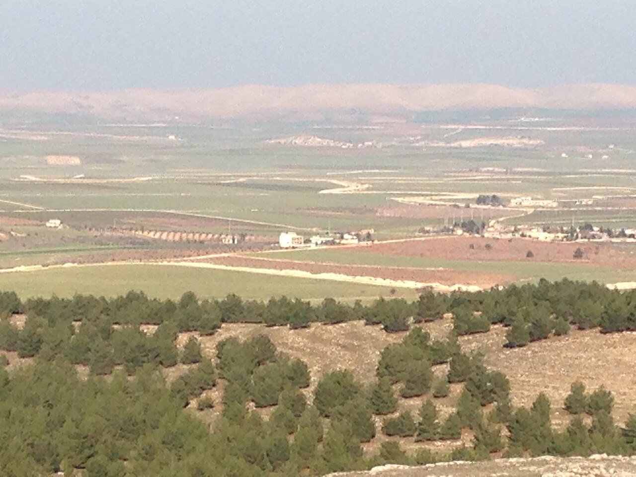 Fields below Göbekli Tepe — the catchment the site sits within.