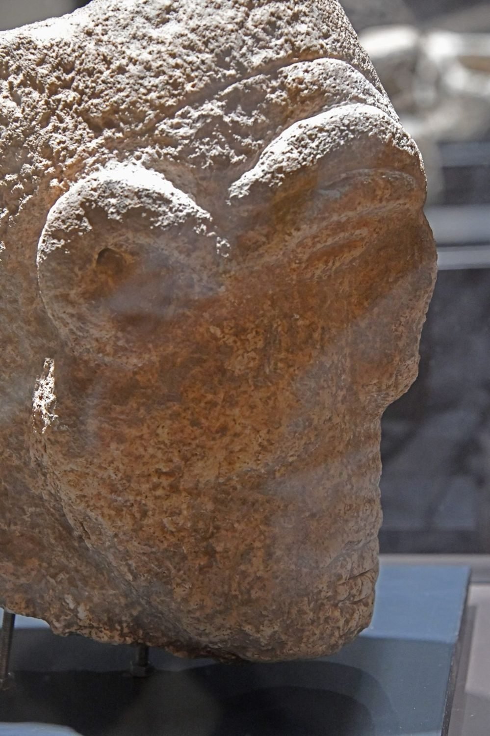 Another carved human head from Karahan Tepe, broken from its body. The repetition is the point: heads were made to be separable, and were separated — in stone as in bone.
