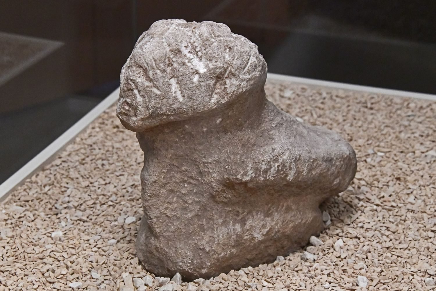 A bird sculpted at Karahan Tepe itself, now in the Şanlıurfa museum. Birds — cranes and vultures above all — are among the most loaded creatures in this symbolic world.