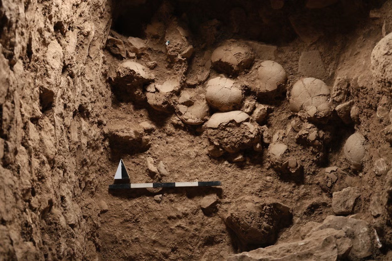The reported skull deposit at Sefertepe — human crania grouped in a built space, one of the finds behind the site's 'skull room'. Still preliminary and not fully published.