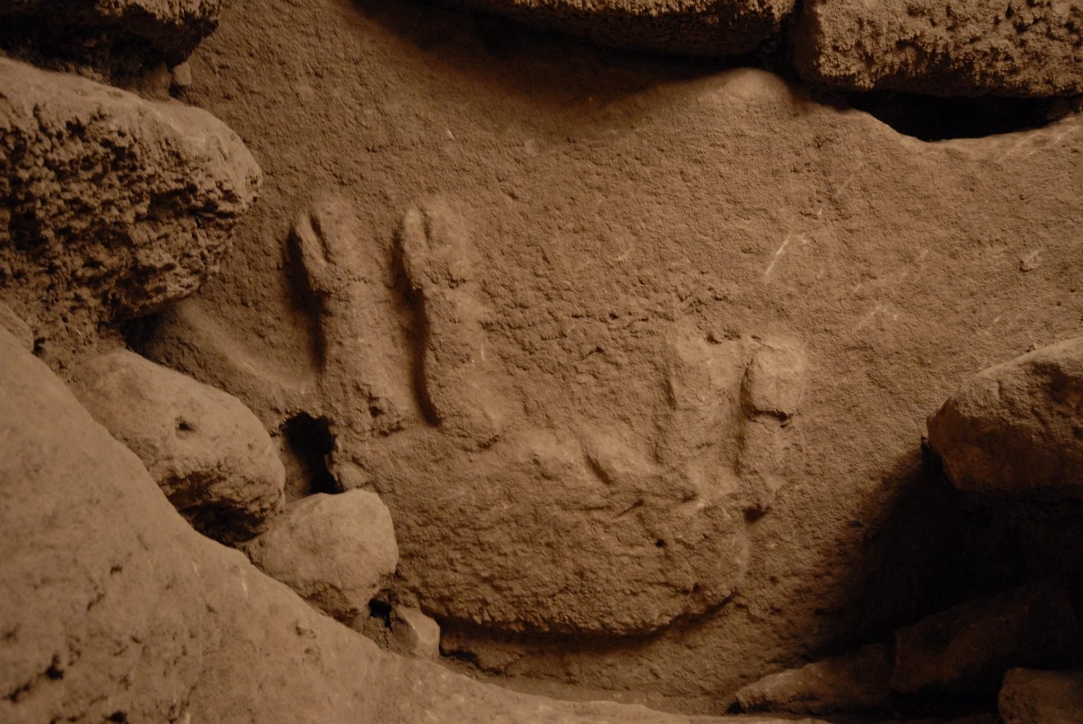A relief of a boar lying on its back, carved on a porthole stone at Göbekli Tepe. (Shows a boar relief, not the cache deposit itself.)