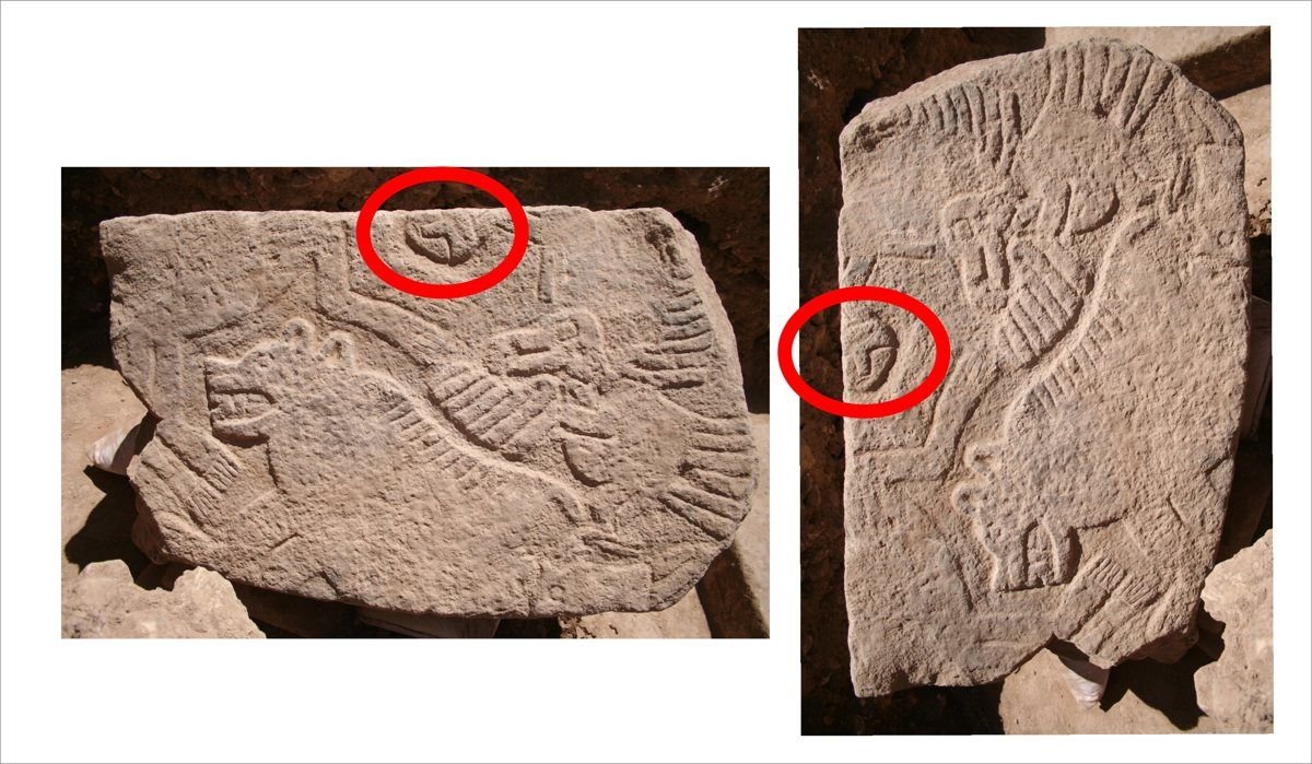 The excavators' own reading: the vultures and the headless human figure on Pillar 43 belong to the same cult of the dead seen elsewhere at the site — carved and displayed human heads — not to a zodiac.
