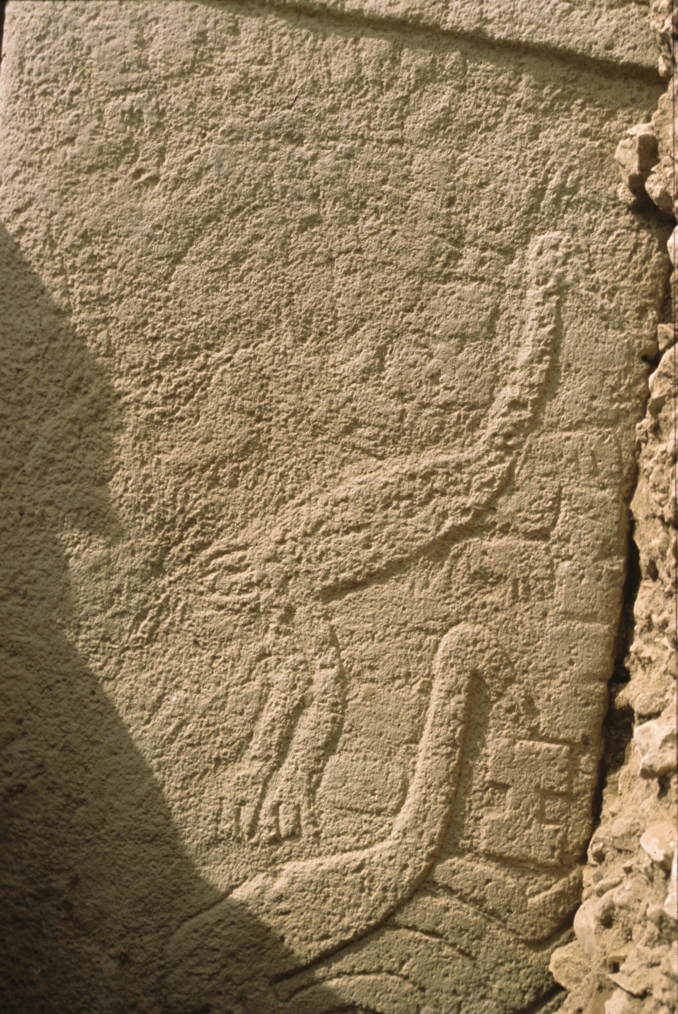 Close view of low-relief cranes and snakes on Pillar 33
