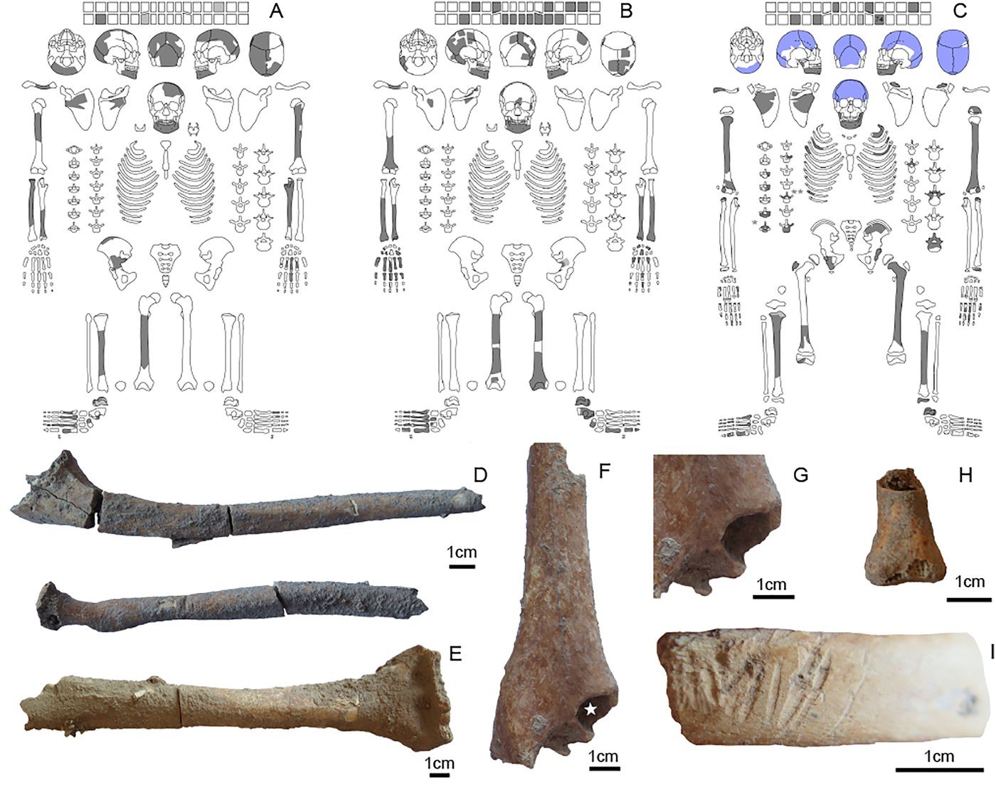 The collective burial in trench DR1, found in 2017 during drainage works: at least three people — a woman over 35, a man of 20–30, and a girl of 11–14. None lay in place; the skulls had been gathered into one corner, suggesting bodies were laid down, then moved aside to make room for the next.