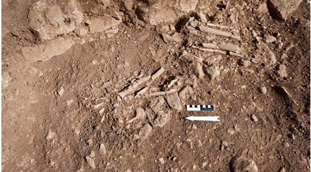 Fragmentary human bone as it is actually found at Göbekli Tepe — long-bone shafts and pieces lying in the fill of an enclosure, with a photo scale for size. This is the ordinary state of the dead here: not buried and left, but broken up, moved, and mixed back into the fabric of the buildings.