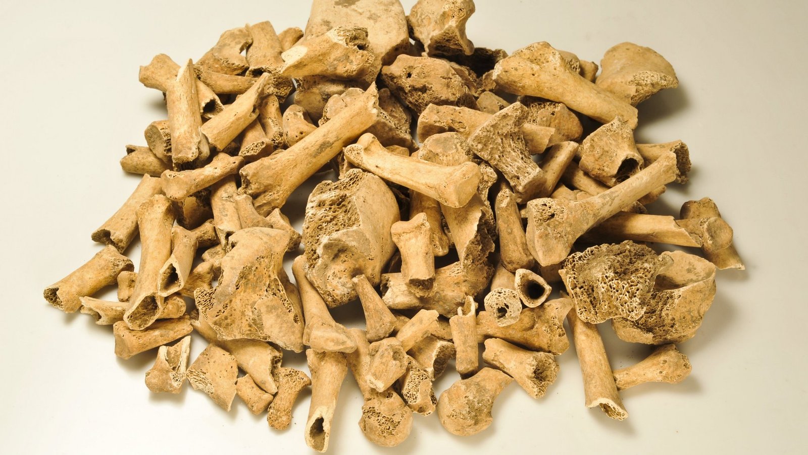 How few people are actually buried at Göbekli Tepe