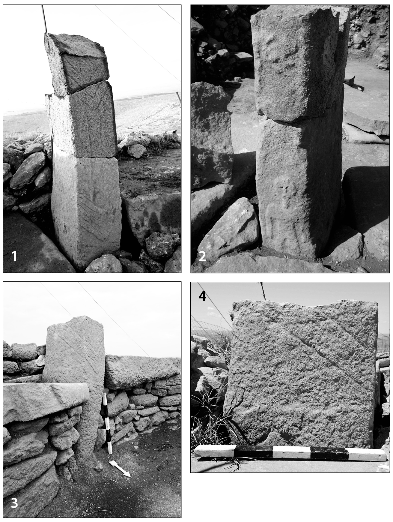 Building F visual reference