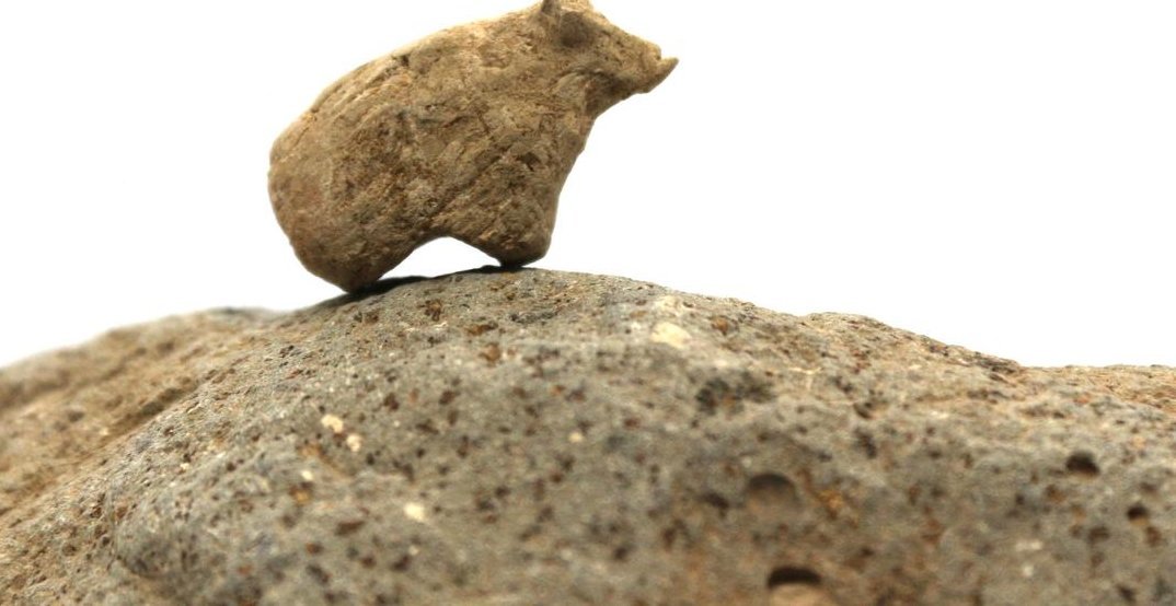 A small modelled clay animal figurine balanced on a stone during excavation at Gürcütepe