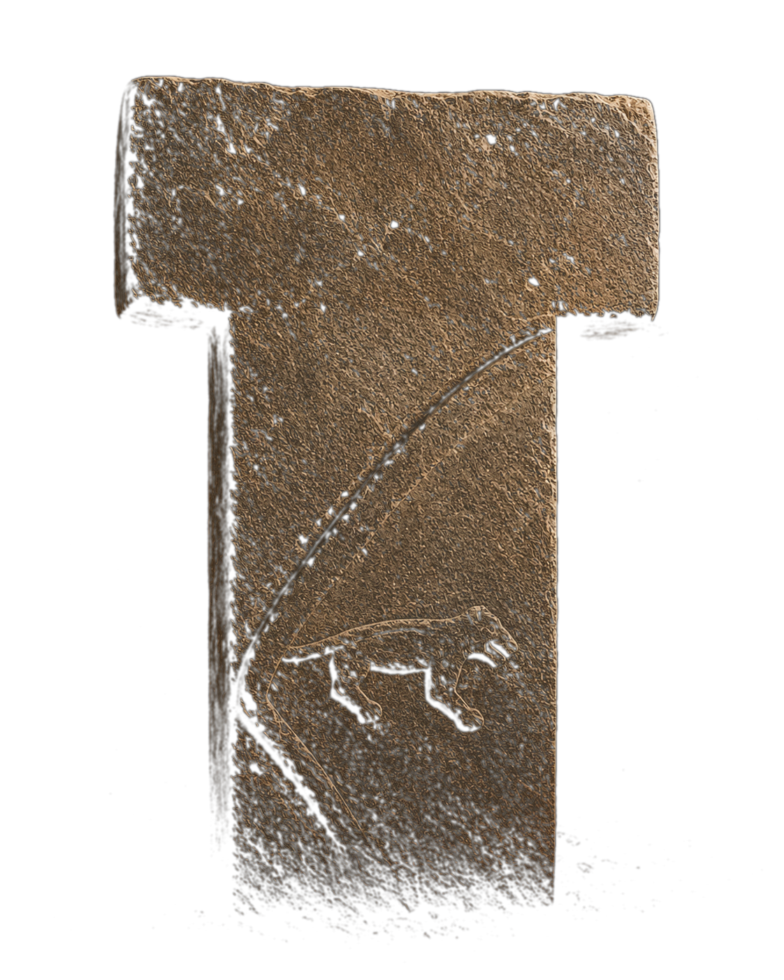 Göbekli Tepe T-pillar cutout